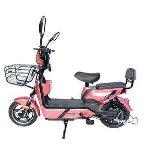 電動シティバイクハイパワーコントローラーEbike 48V 12Ah 20Ah 350W 500W Ebike