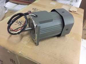 高扭矩低转速微型单相交流齿轮电机感应电机 - Product Image 4