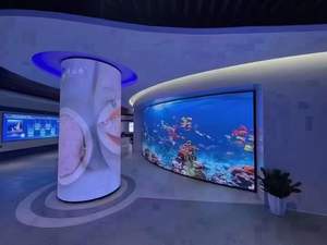 Низкое напряжение входного внутреннего/наружного гибкий светодиодный дисплей светодиодный модуль экрана - Product Image 5