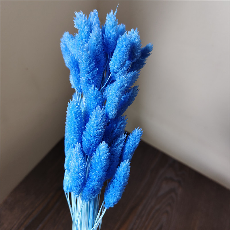 Azzurro di cielo