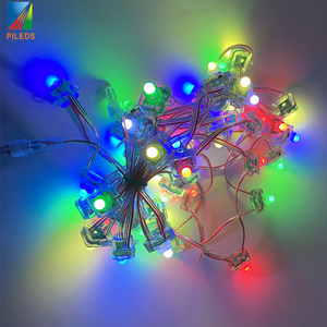 DC12V RGB WS2811 IP68 Wasserdichtes LED-Modul 12mm quadratische LED-Lichterketten Pixel punkt leuchten für den Außenbereich - Product Image 4