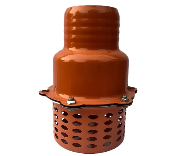 4 polegadas válvula de porta inferior da válvula Válvulas de pé para a bomba de água de irrigação em Bangladesh