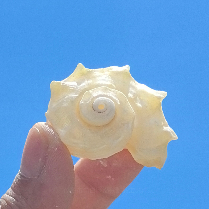 3-4 cm