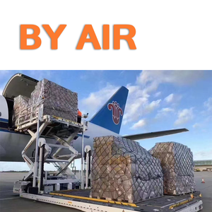 Efficient DDP Sea Freight Logistics Service for International Shipment Free Package Storage UPS FedEx Compatible LCL+Express - Product Image 3