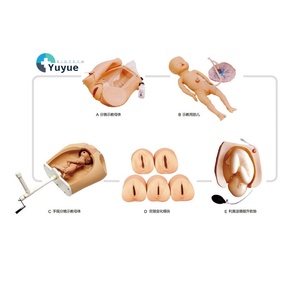 Advanced Obstetrics Gynecology Simulator Model Direct Manufacturer's PVC Abdominal <strong>Palpation</strong> Delivery Mechanism for Medical - Product Image 1