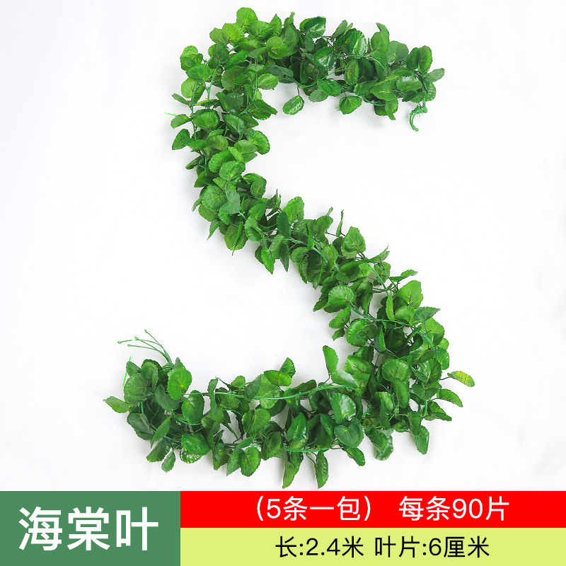 ราคา 45 กิ่งไม้ Crabapple