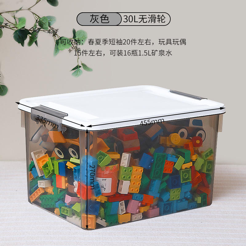 X-6325 Ceniza Ahumada 30L