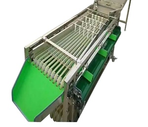 Macchina di classificazione delle dimensioni della data della prugna di alta qualità facile da usare Arabia saudita data Palm mirtillo frutta selezionatrice automatica - Product Image 1