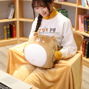 卸売ソフトぬいぐるみフリース2in1枕飛行機ブランケットコンフォートジッパーバッグトラベルブランケット男の子と女の子のためのロゴ付きソフト