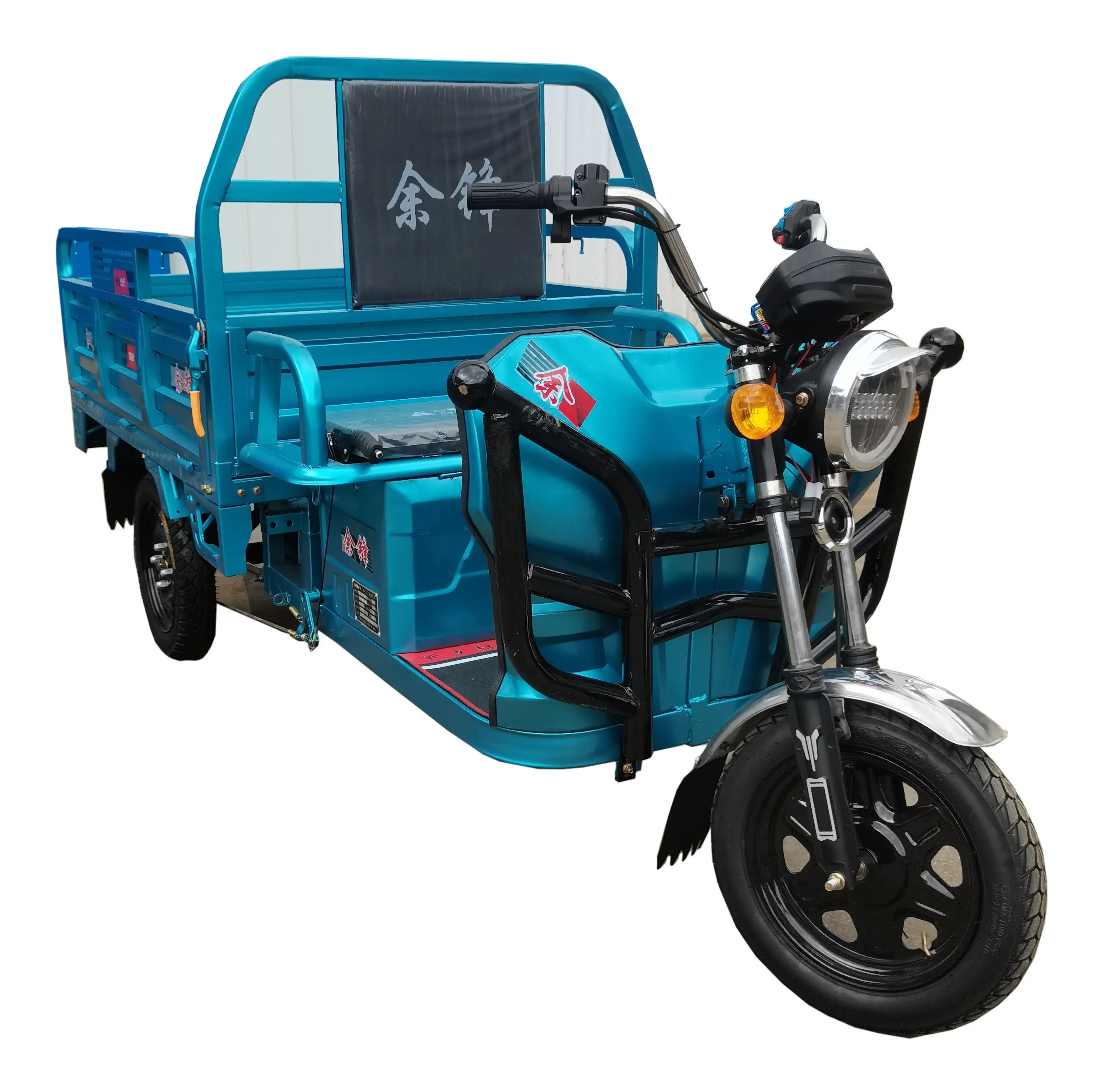 Eaynon 세 바퀴 성인 1000 와트 Rikshaw 전기 스쿠터화물 세발 자전거 배터리