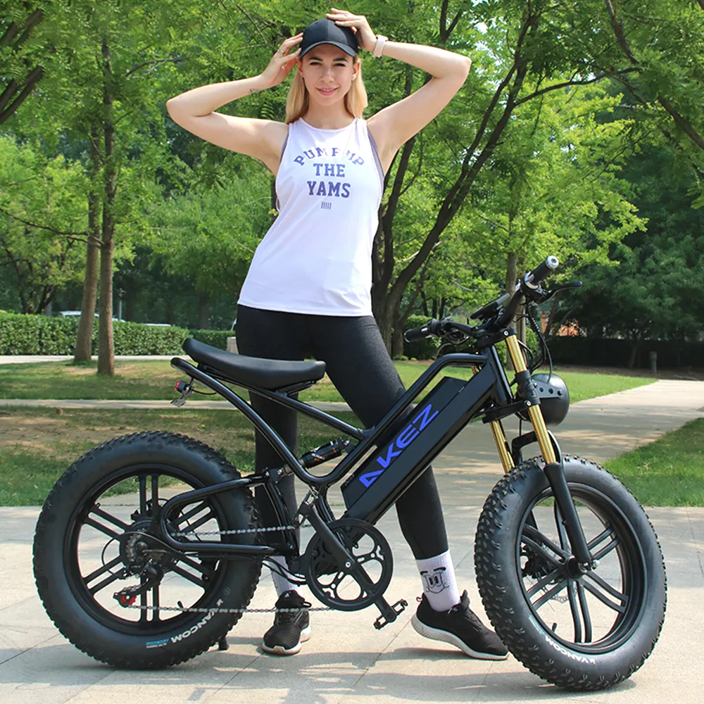 2023 New High Speed Ebike Fat Tire Electric Bicycle 750W 48V E-Bike 20 Inch E Mountain Bike Electric Dirt Bike