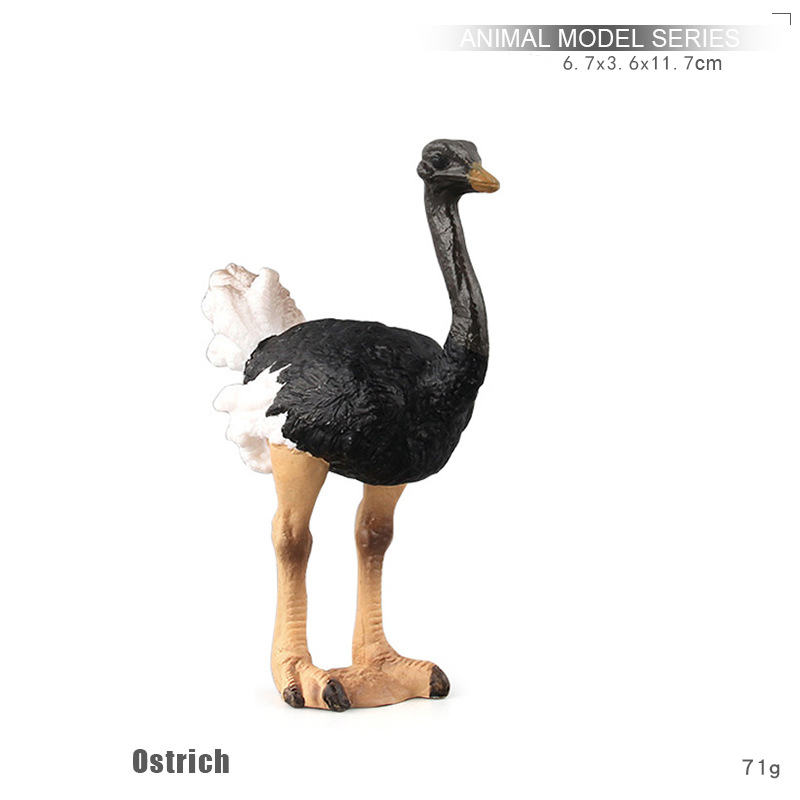 ostrich