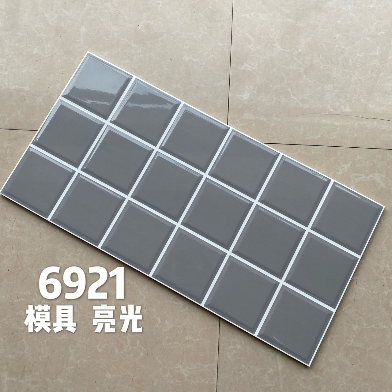 6921 - 300x600mm