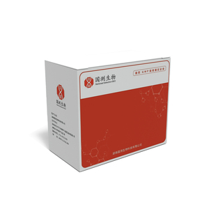 ชุดเครื่องมือตรวจวิเคราะห์สัตวแพทย์ Porcine circovirus Type 2 (PCV2) ชุดทดสอบ PCR แบบเรียลไทม์ - Product Image 3