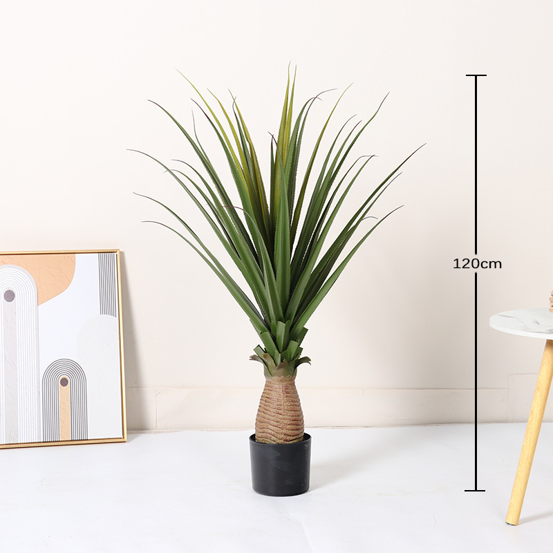 Navigation en douceur - 120 cm