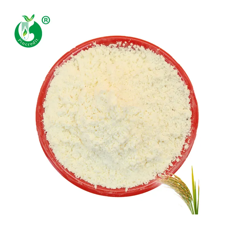 Pincredit Supplier Top Quality Rice Bran Extract Natural Pure 98% Ferulic Acid Powder