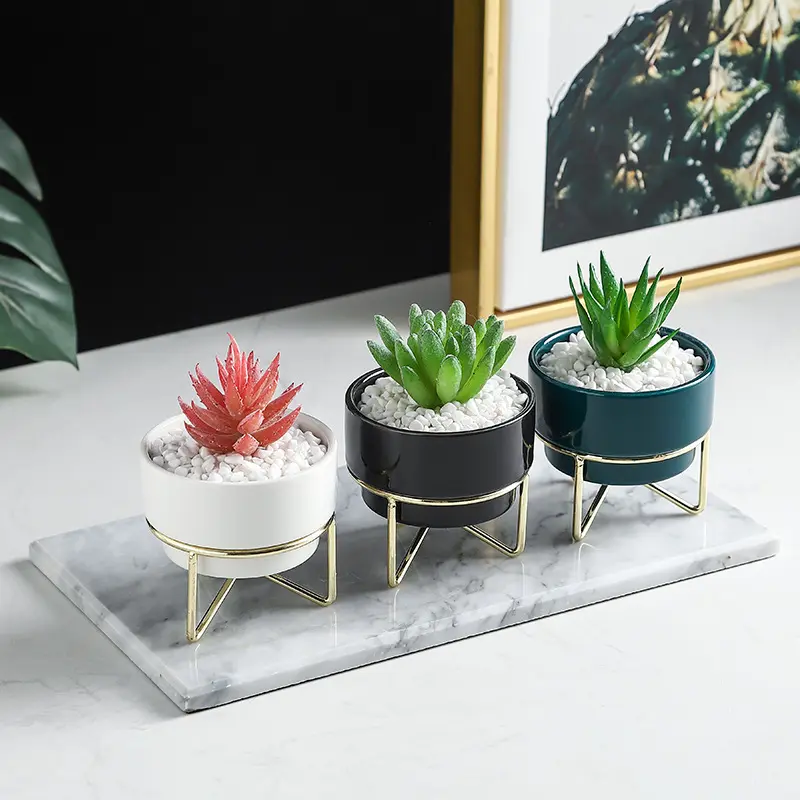 Simple creative succulent planter with metal frame combination potted ceramic plant pots no drain hole