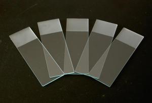 <strong>Slide</strong> Glass <strong>Microscope</strong> <strong>Microscope</strong> <strong>Slide</strong> Racks Specimens <strong>Microscope</strong> Prepared <strong>Slides</strong>