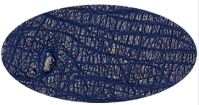 R. Bleu