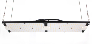 Europe Free Shipping 240w <strong>LED</strong> Grow Light LM301H LM281B Full Spectrum Mix 660nm UV IR MeanWell Driver - Product Image 2