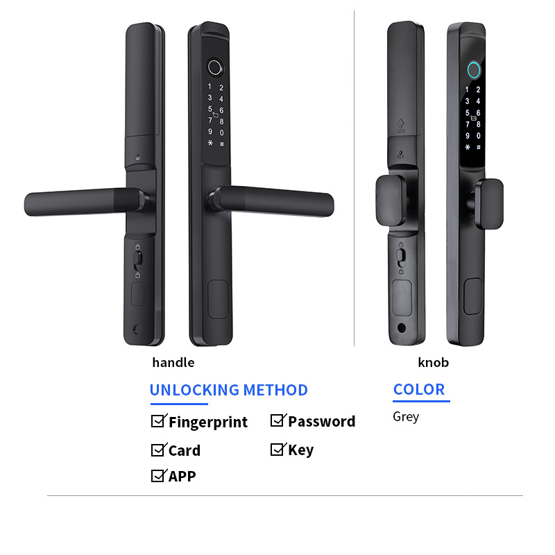 Black+Fingerprint/Card/PAssword/Key/APP