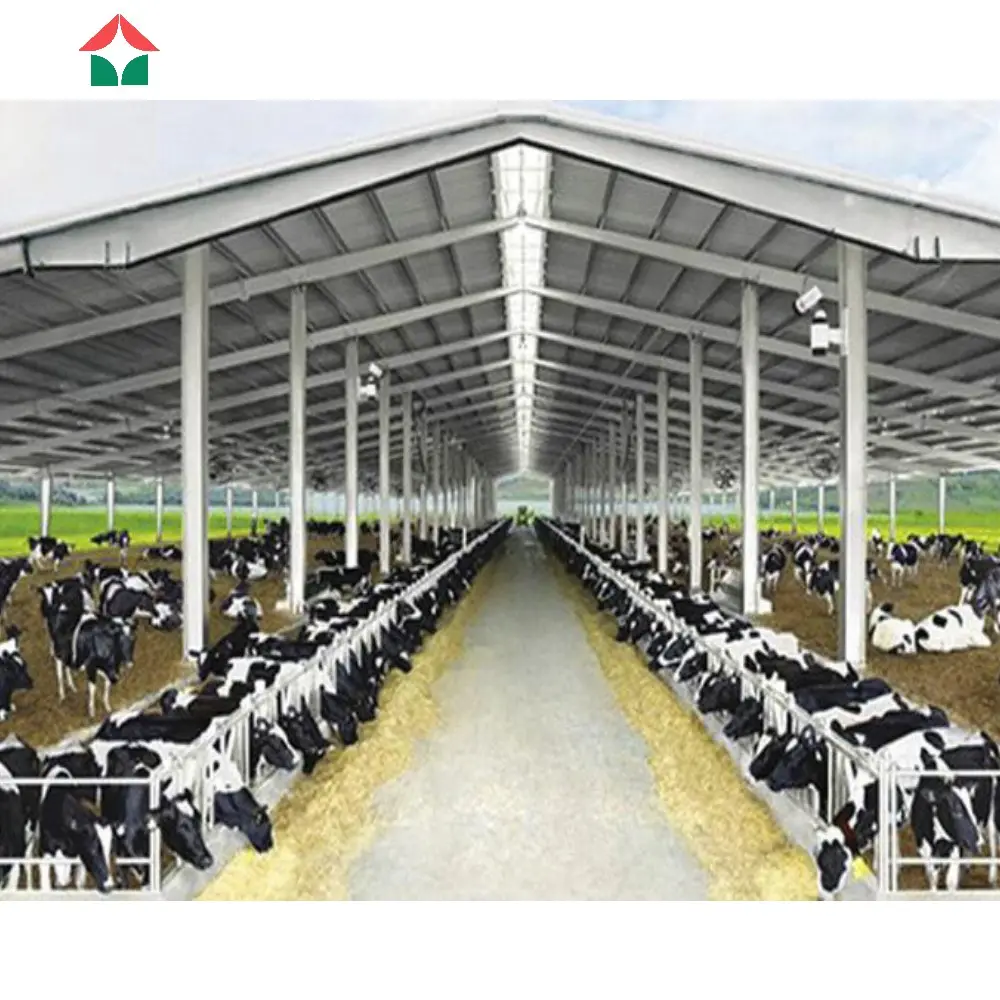 Kits de matériaux de construction en métal, entrepôts préfabriqués, abris, structures, équipements, remises préfabriquées, stockage, ferme de vache en plein air