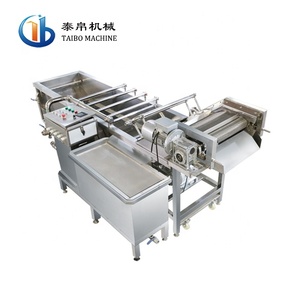<span class=keywords><strong>Zibo</strong></span> Taibo気泡野菜および果物加工洗濯機工業用