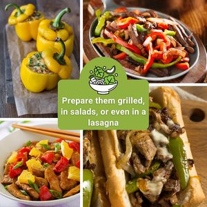 Gieo ngay gia truyền Rau tiêu gói Kit gieo hạt tiêu ngọt không GMO Bộ sưu tập Ớt chuông Đỏ sô cô la nâu Vườn Nhà - Product Image 5