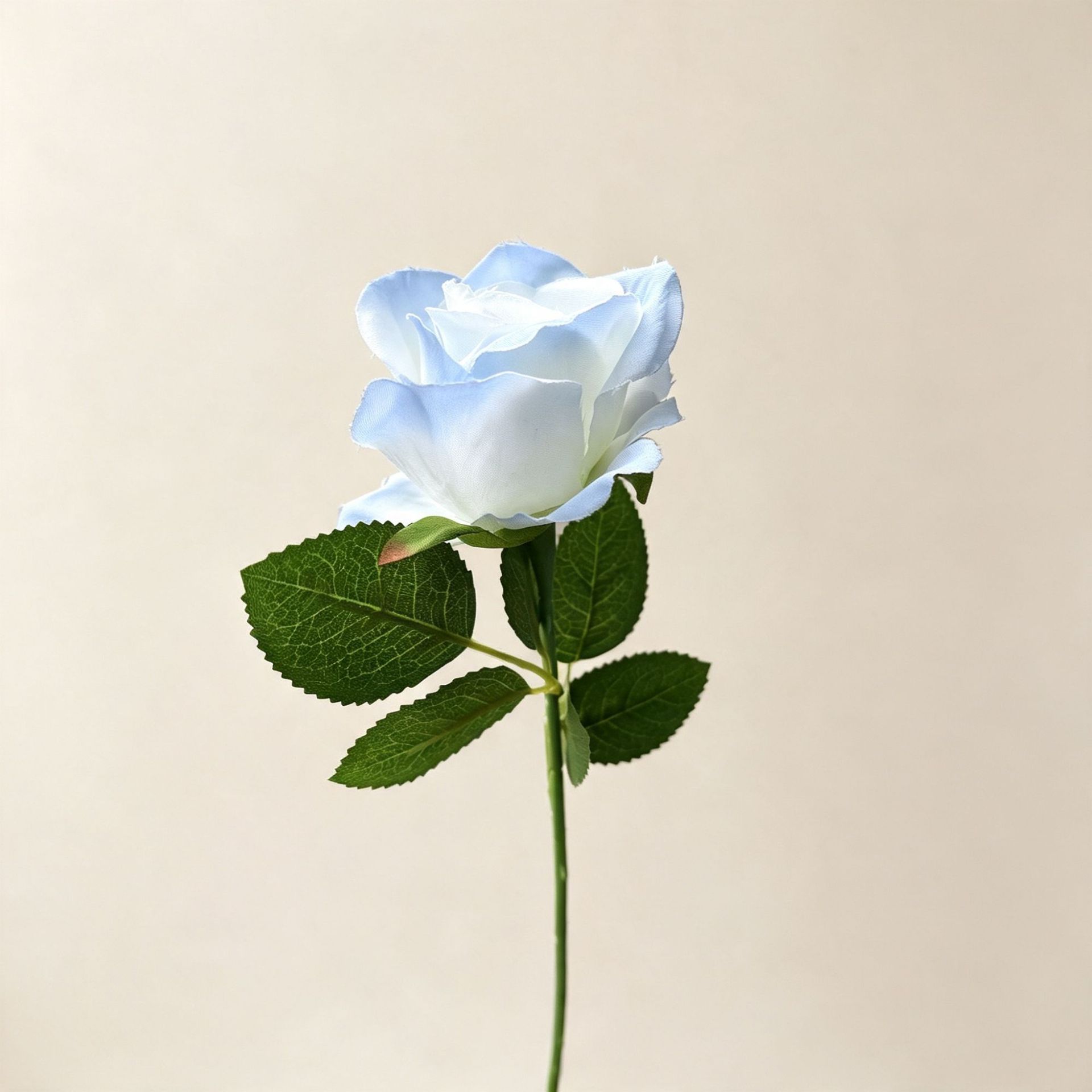 Crushed ice blue rose