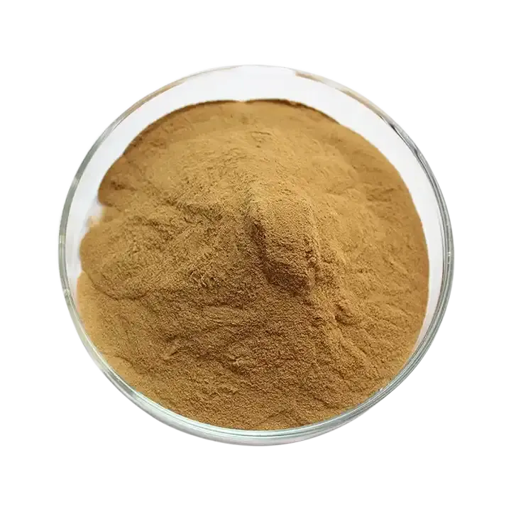 Wholesale Price Plant Extract Herbal Supplement Angelica Extract