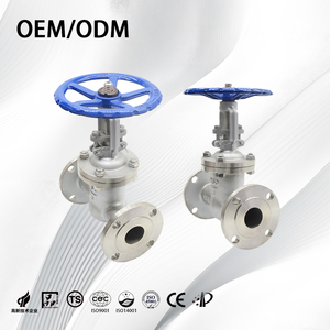 SS304工業用ASME高流量ボルトボンネット耐食性フランジ型ゲートバルブ水用 - Product Image 5