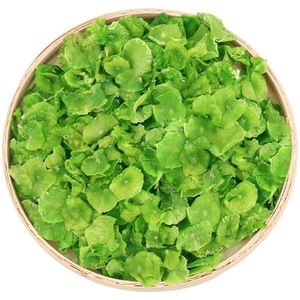 天然干菜切片生菜和脱水芦笋蔬菜贡片