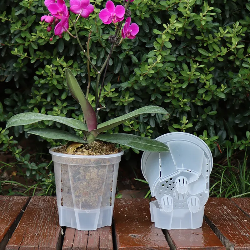 Vente en gros Jardinière transparente pour pépinière avec arrosage automatique Orchidée Fleur en plastique PP Pots transparents pour plantes