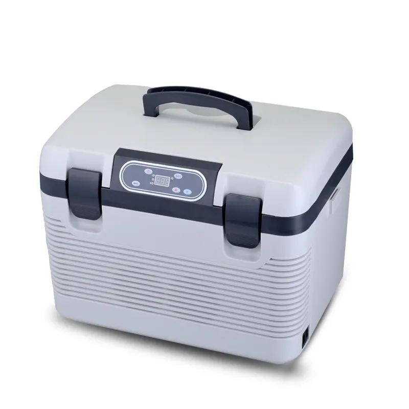 19L médico eléctrico de la caja del refrigerador portátil Mini coche Vacuna/insulina/transporte frigorífico para la cadena de frío de transporte