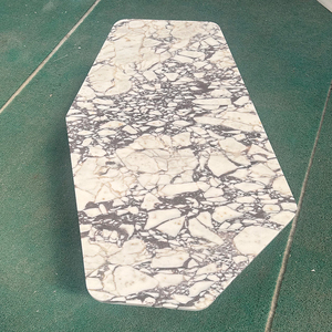 Bán Buôn Tùy Chỉnh Pháp Phong Cách Trang Trí Nội Thất Thiết Kế Đơn Giản Calacatta Viola Đá Cẩm Thạch Bàn Cà Phê Với 2 Chân - Product Image 4