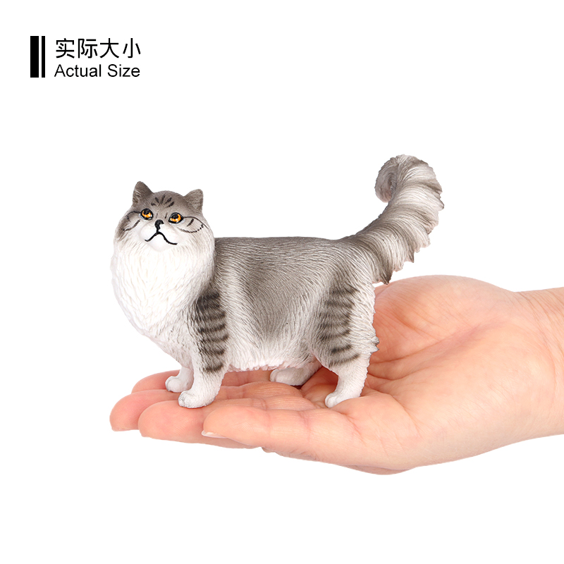 3627 Chat Ragdoll