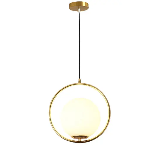 Djjlight Chandeliers Ceiling Lighting Bedroom Single Pendant Light Special Offer Nordic Design Globe Glass Iron 220V Modern 80