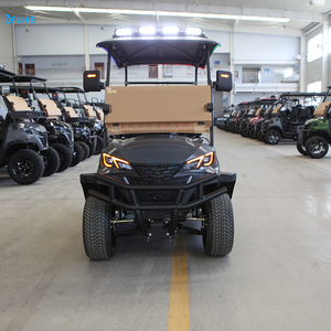 The Latest Customized Road Cart/CAMP Luxury 2 Seats Hunting Buggy/All Terrain Low-Speed Golf Car for Sale - Product Image 3