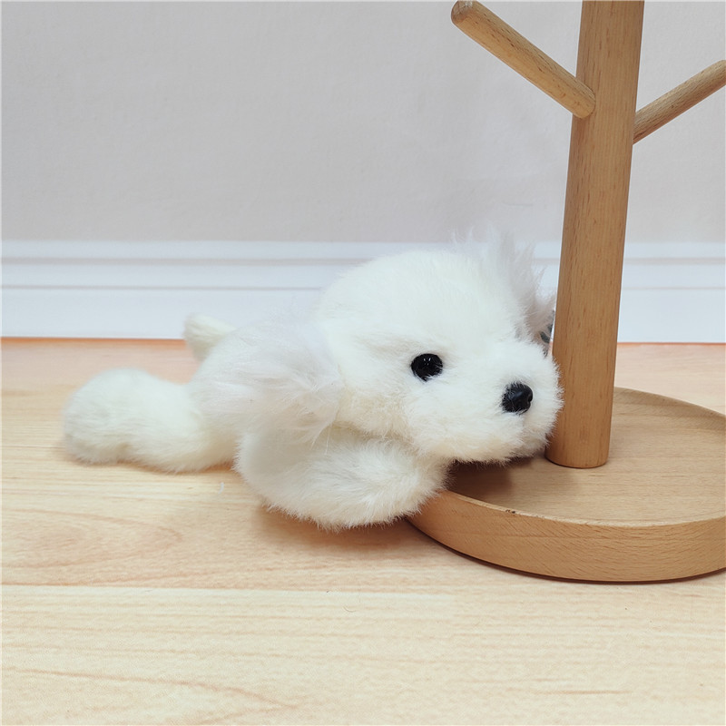 Bichon frisé 22 cm