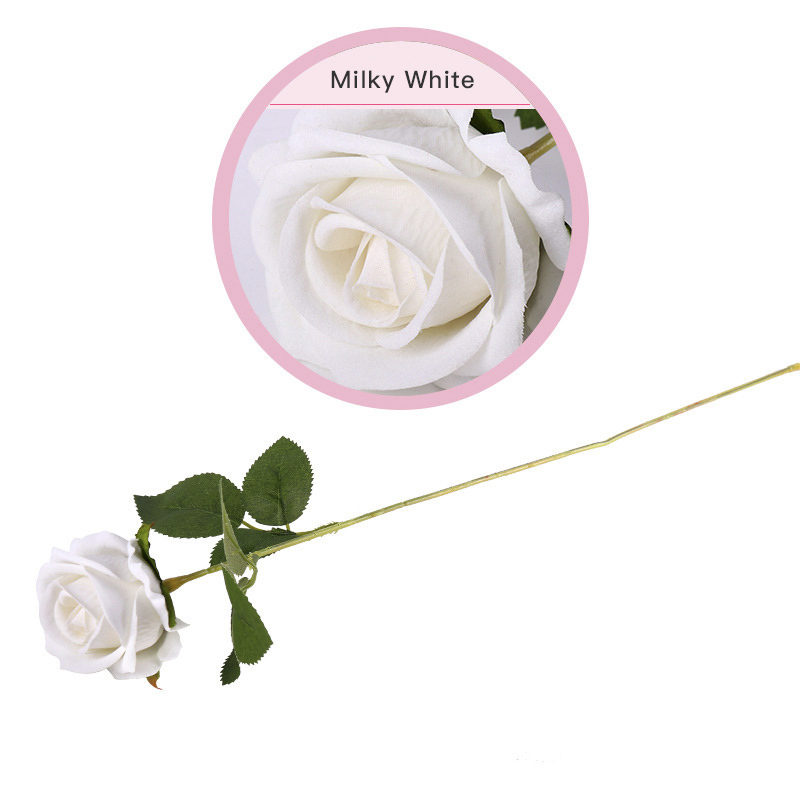 Milk White