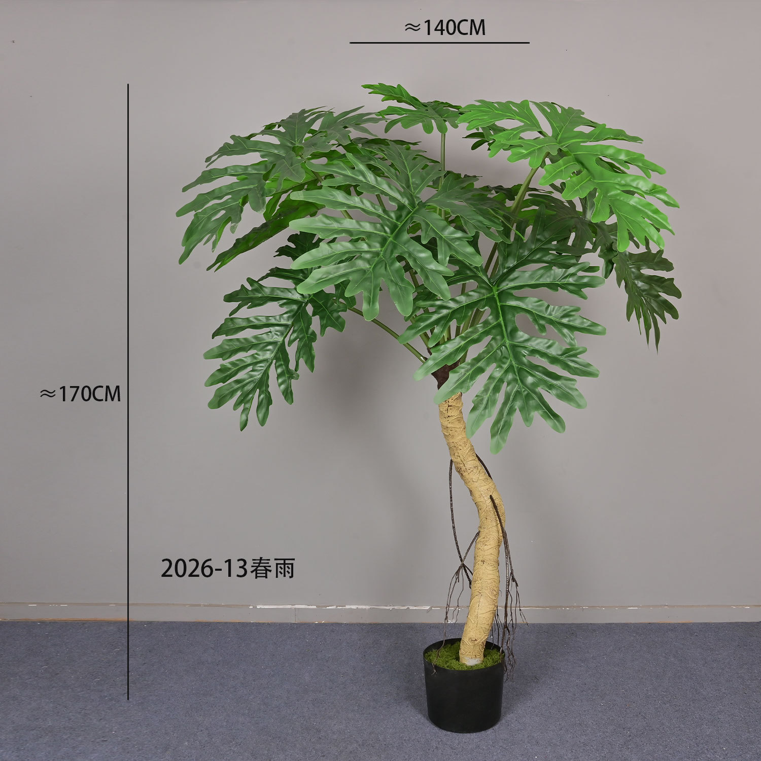 2026-13 Taro de printemps