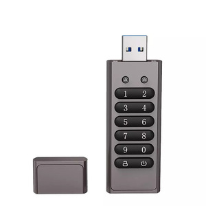 加密USB 2.0/3.0 u盘自毁防盗安全连续输入错误密码10倍棒笔金属 - Product Image 1