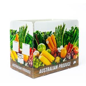 Sebze kutuları 62L özelleştirilmiş meyve/sebze ambalaj oluklu plastik kutu oluklu saklama PP ambalaj kutuları - Product Image 1