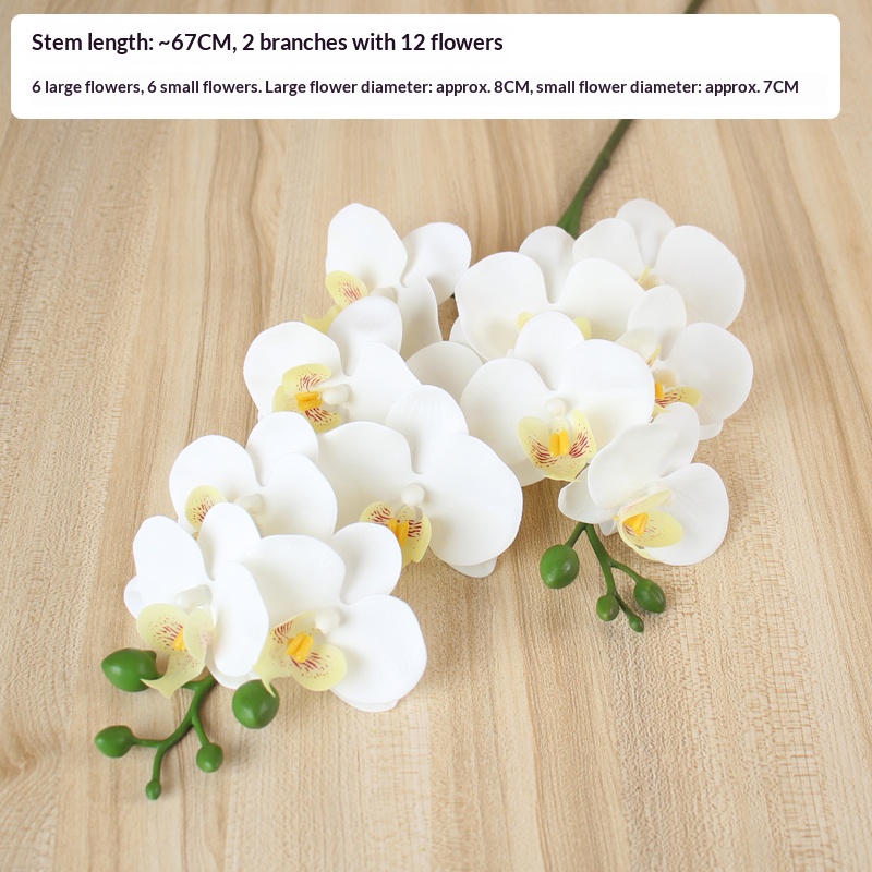 Blanc
