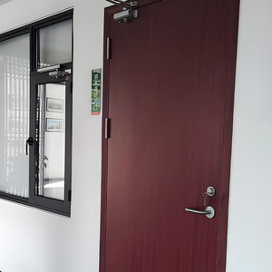 Factory Customized Modern ISO Entrance Pivot Steel <strong>Doors</strong> Double Gate Design with Powder Coat for Entry Application - Product Image 5