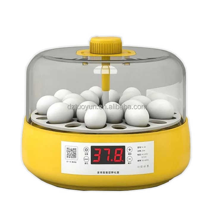 Small-sized Egg Incubator Quail Full Automatic Eggs Incubator
