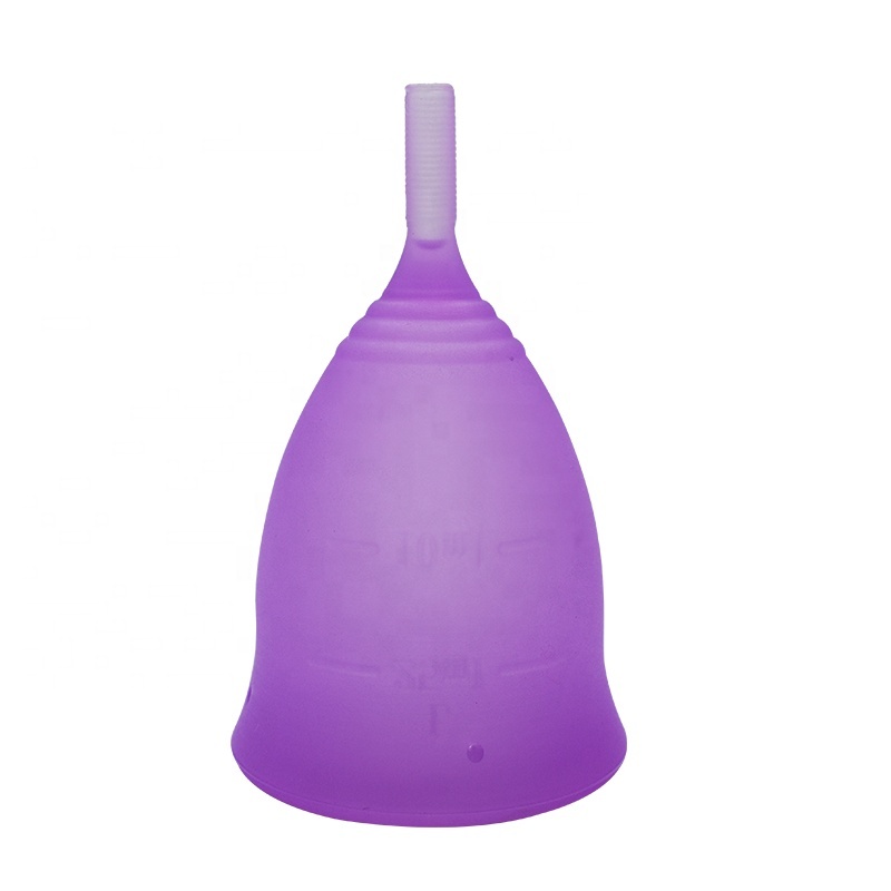 Viola