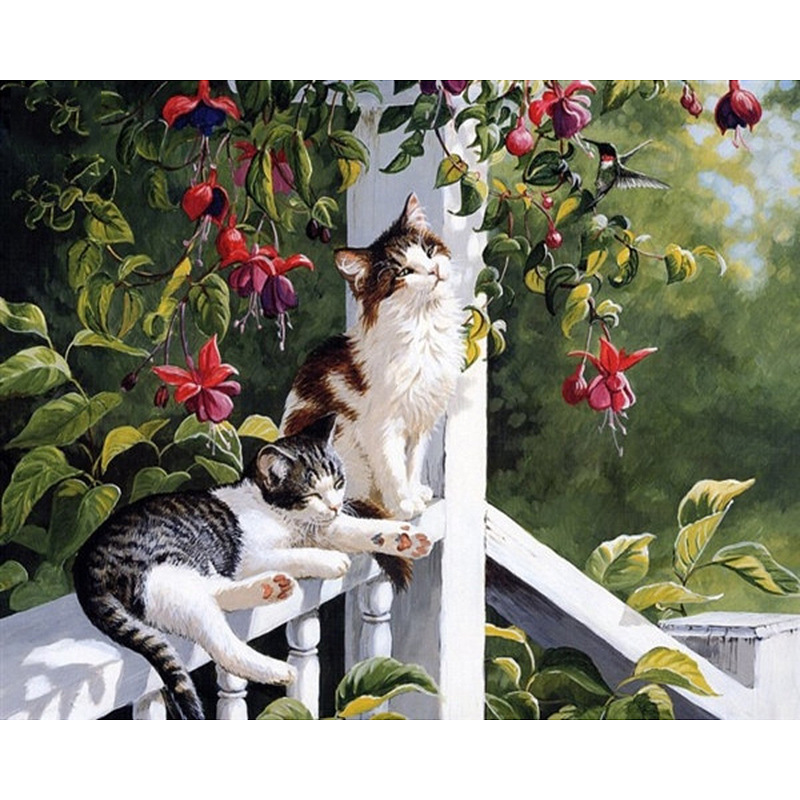 514 chat dépendant