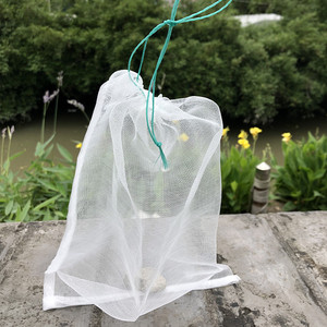 Nylon di Piante Da Giardino di Frutta Verdura Grow 40 Borse di Maglia Sacchetto di Rete di Protezione Agricoltura Anti Uccello Pest 25 centimetri * 15cm