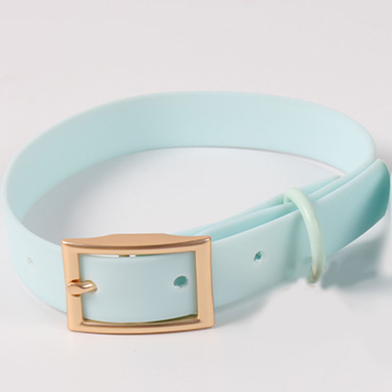 dog collar color 2